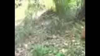 Video Mesum India Panas 3GP