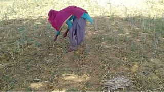देसी भारतीय प्रेमी ने खेत में काम कर रही अपनी सुंदर प्रेमिका को चोदा