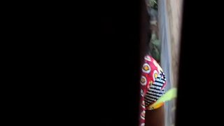 Desi Mengencingi dan Mengompol dalam Video Panas