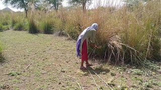 Suamiku Sayang, Adik Ipar, Kau Benar-Benar Ingin Jadi Pelacur. Tapi Baiklah… Dengarlah, Kami Punya Beberapa Foto Malam Pertamamu Saat Kami Menidurimu Malam Itu, Sepuluh Besar yang Paling Menggoda.