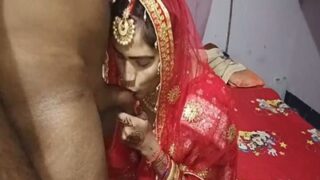 Video panas istri mengisap kontol saat Karwa Chauth