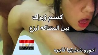 Skandal Pelacur Mansion, pantat dan memek manis minta ditiduri sama pria perkasa, seks Arab paling kotor.