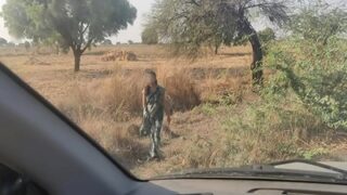 Traveler kena racun sama lonte desi, video biru panas abis